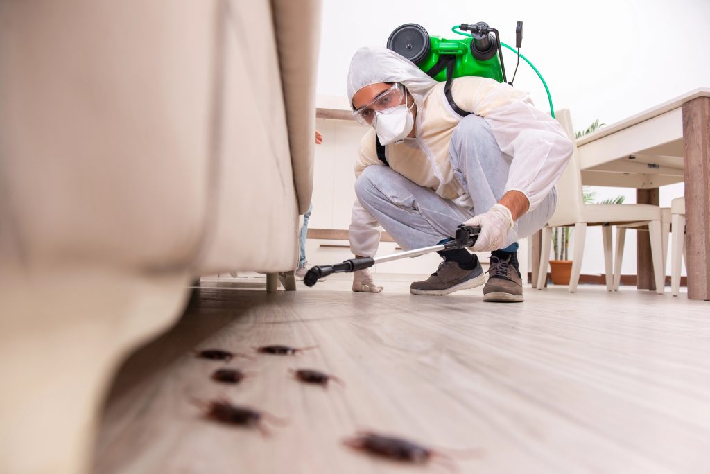 How to keep termites away – pest control professional in protective gear spraying insecticide indoors to prevent termite and pest infestations.